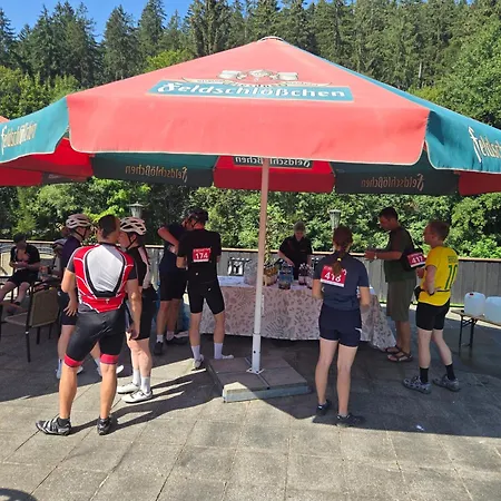 酒店 拉登明勒酒店 3*