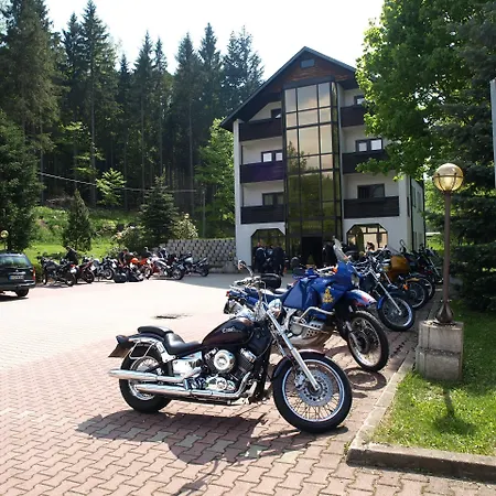 Hotel Ladenmühle Altenberg (Montes Metalíferos)