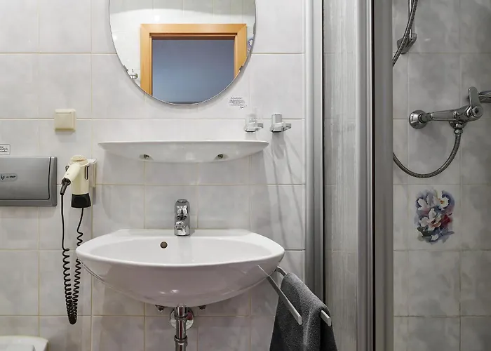 Hotel Ladenmuehle Altenberg (Krušné hory)