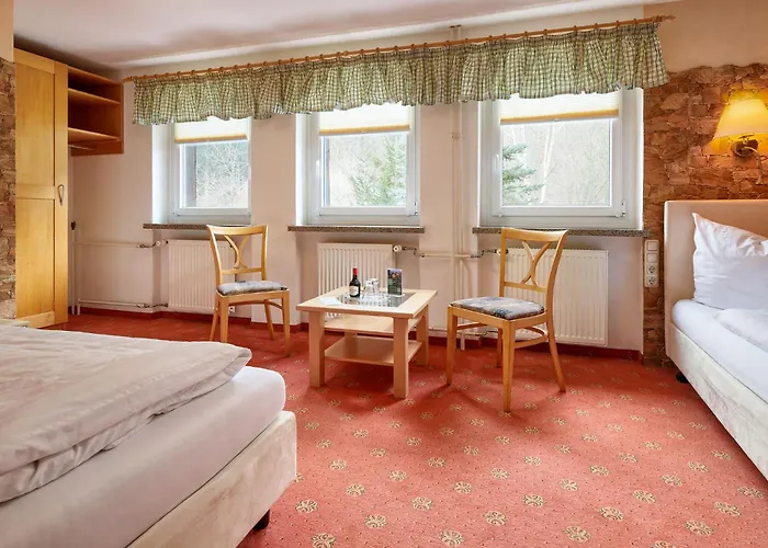 Hotel Ladenmuehle Altenberg (Krušné hory)