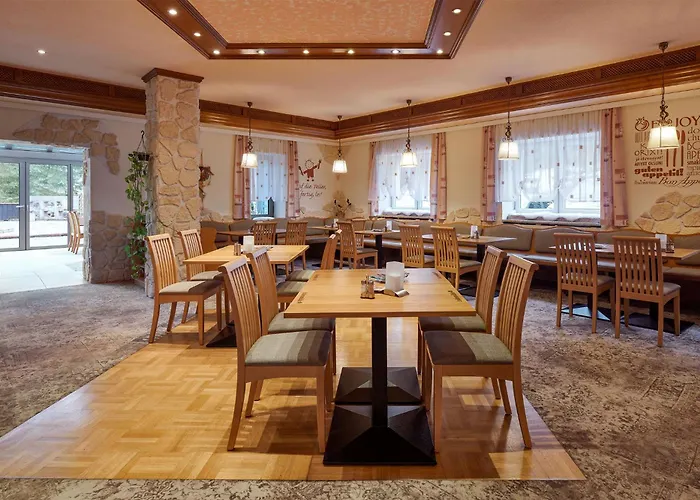 Ladenmuehle Hotel Altenberg (Krušné hory)