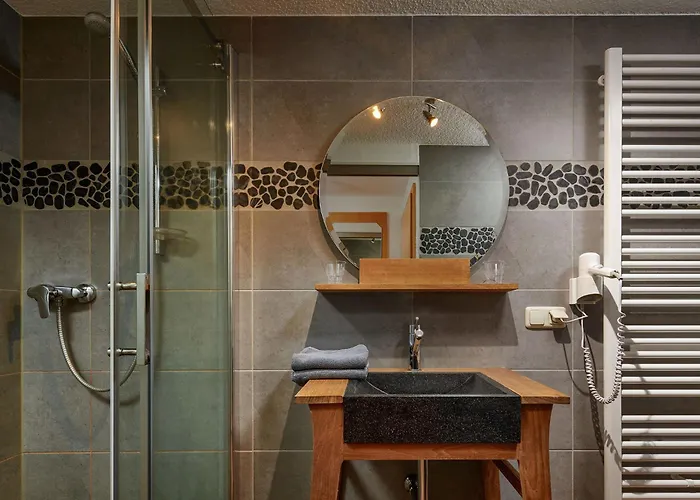 Ladenmuehle Altenberg (Krušné hory)