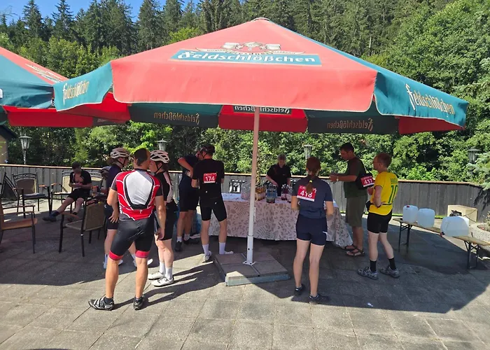 酒店 拉登明勒酒店 3*