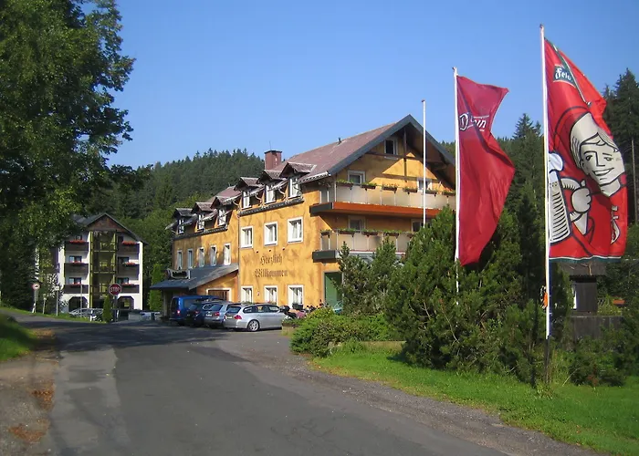 Hotel Ladenmuehle Altenberg (Krušné hory)