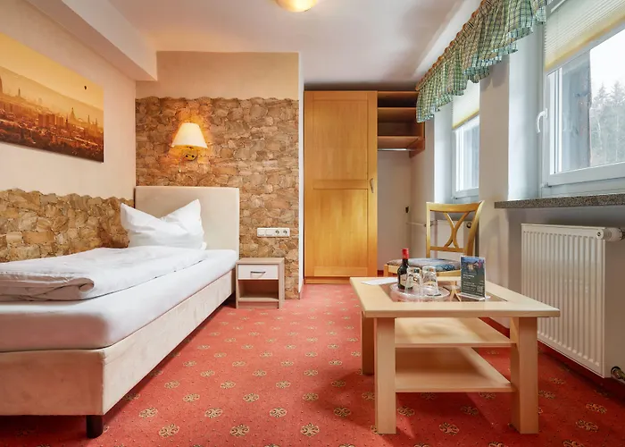 Hotel Ladenmuehle Altenberg (Krušné hory)