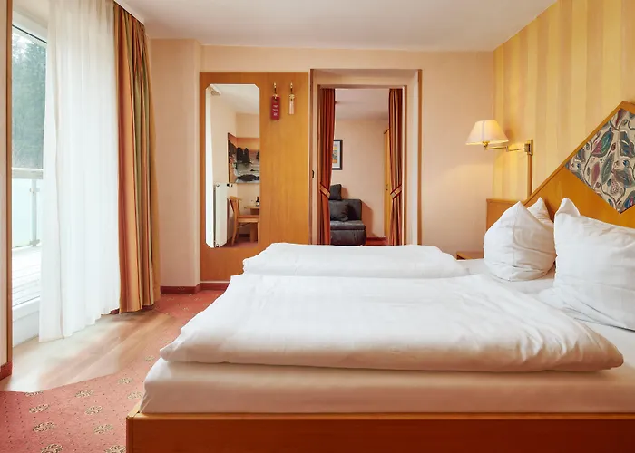 Hotel Ladenmuehle Altenberg (Krušné hory)