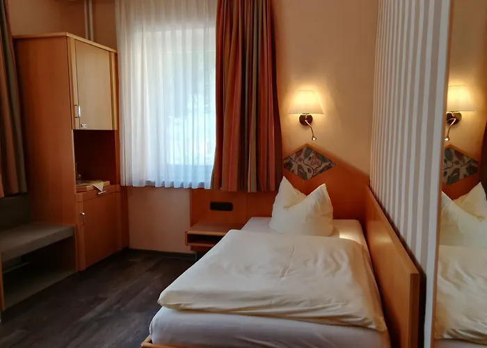 Ladenmuehle Altenberg (Krušné hory)