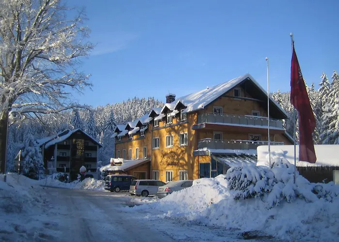 Ladenmuehle Hotel Altenberg (Krušné hory)