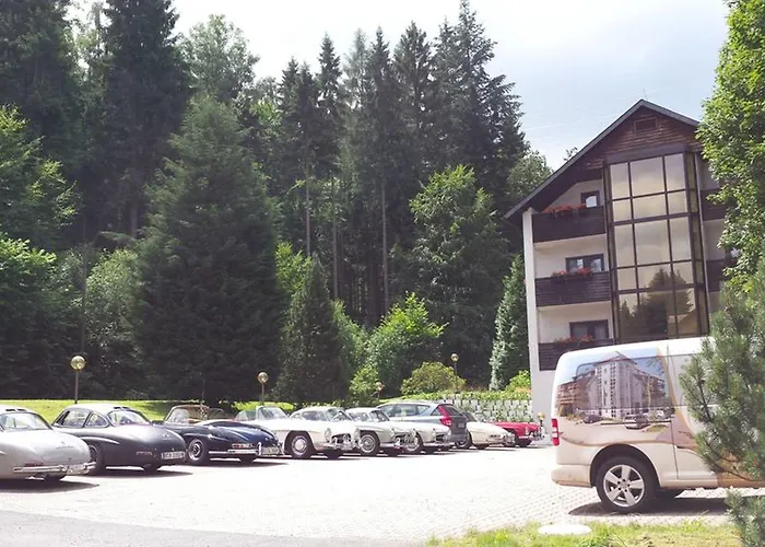 Ladenmuehle Altenberg (Krušné hory)